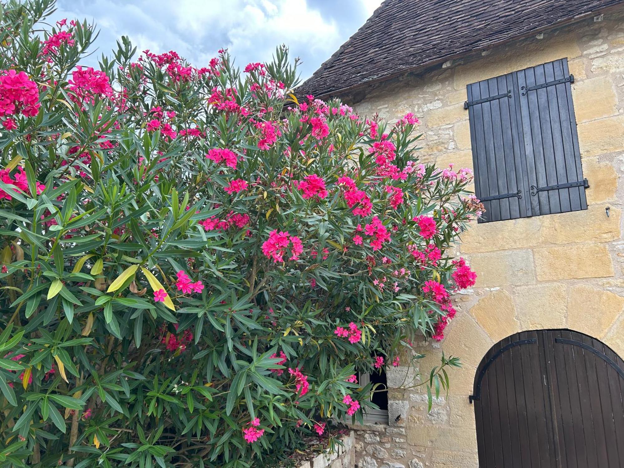 Demeure Du Vallon - Chambres D'Hotes De Charme Azerat Экстерьер фото
